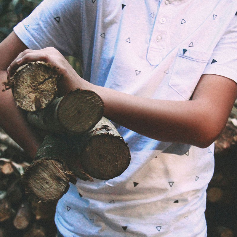 Tree Removal