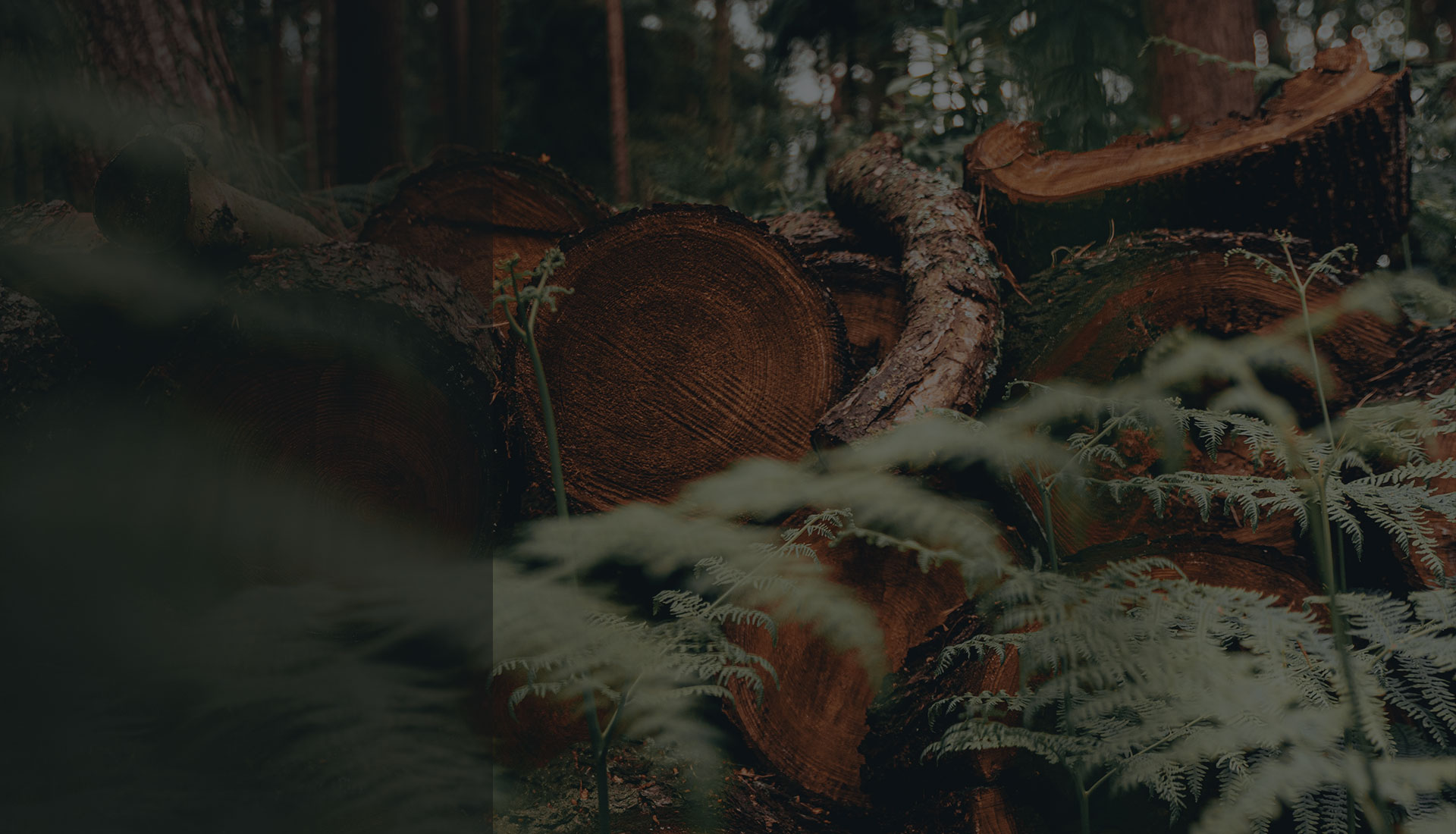 Slide background
