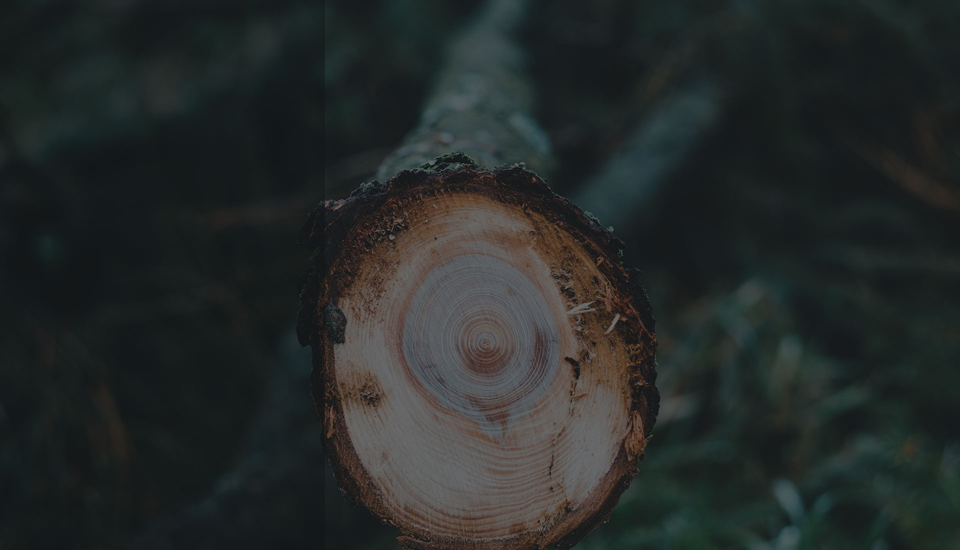 Slide background